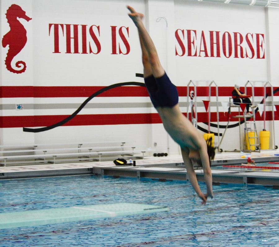 DIVING IN: Plummeting headfirst into the icy pool, Sonny Hoekstra, junior, leaps off the diving board during practice. The diving team has been training for conference, where they hope to place in the top five. 