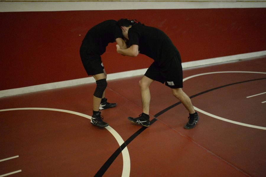 HEAD TO HEAD Wrestling for results, sophomores Sorvino Chansiri and Anthony Paredes practice for their upcoming sectionals. The wrestling team has spent the year working hard to ensure their success in their matches. 