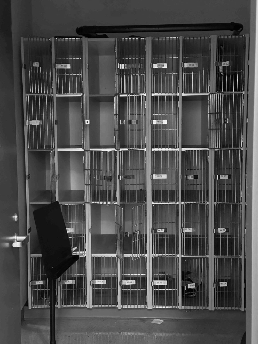 GIVING IT A REST Empty lockers sit in the orchestra room waiting to be remodeled. Along with the whole room being redone, new features will be refurbished. 