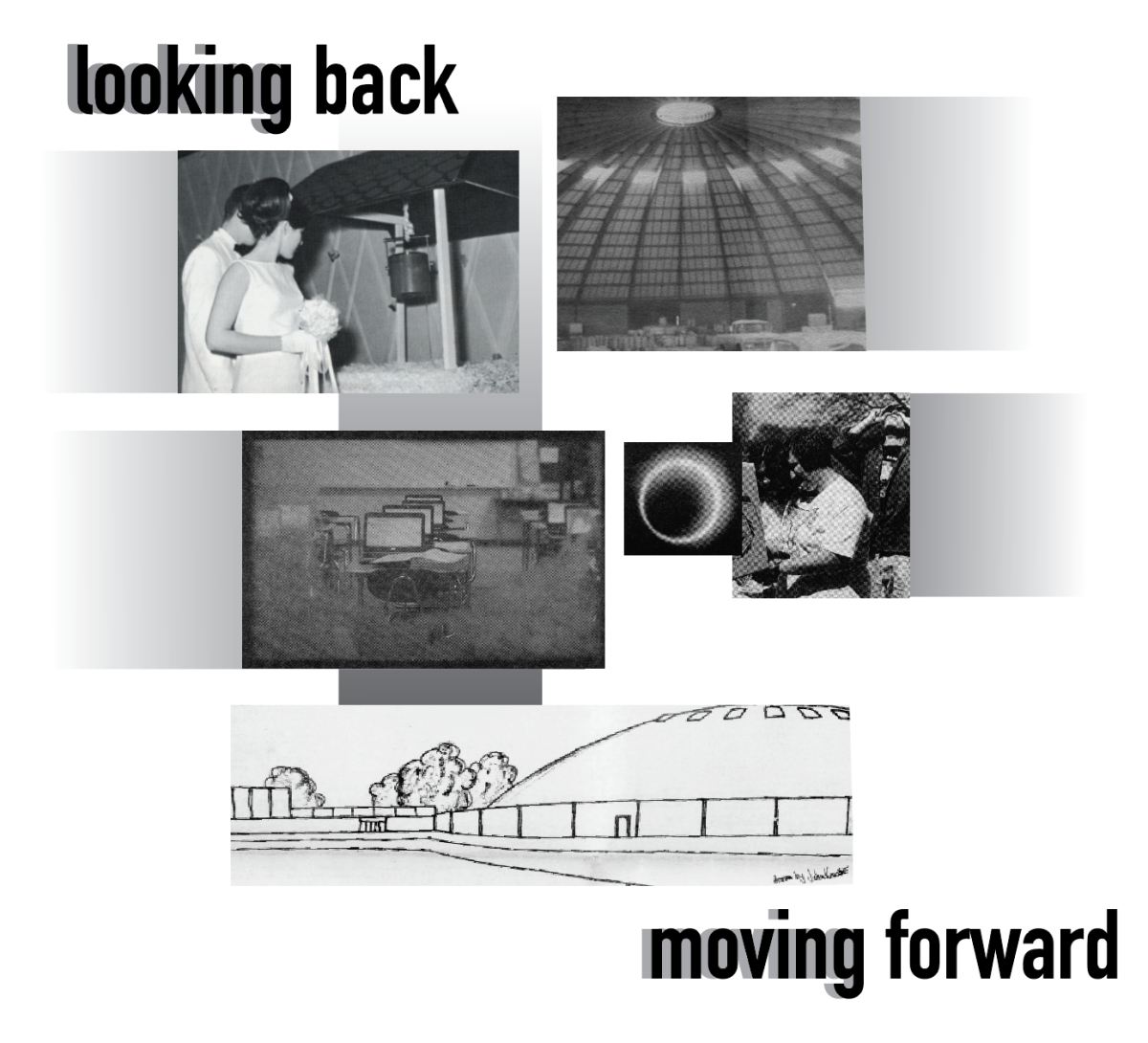 Looking back, moving forward