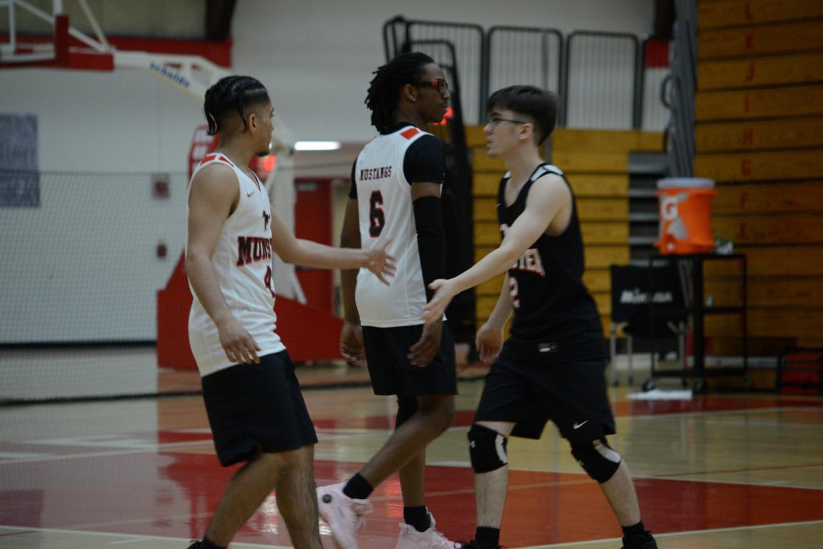 BRO CODE After scoring a point, shown left to right, seniors Elias Orduno and DeAnthony Bowden and junior Austin Spain celebrate their sucess with a high-five. Each player has a different role, such as the libero, who focuses on ball retreival. 