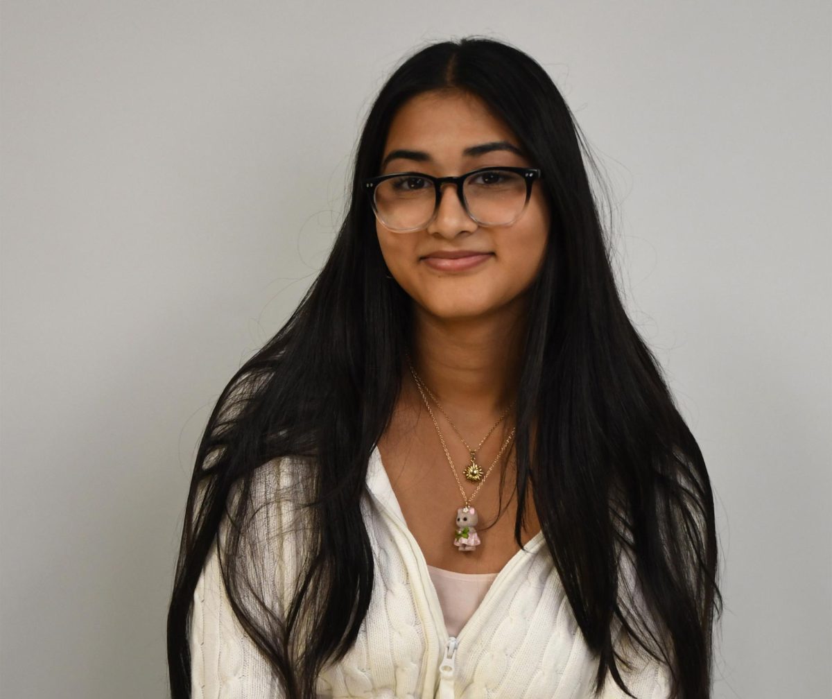 Hiba Aftab